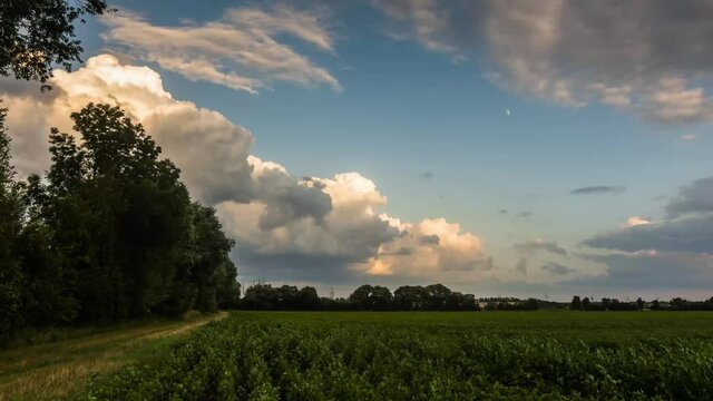 4k timelapse with green fields trees and rainclouds on the blue sky