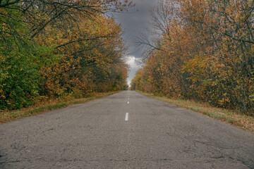 an empty asphalt road, trees grow along the road, autumn foliage covers the trees, autumn heavy clouds in the sky, Russia