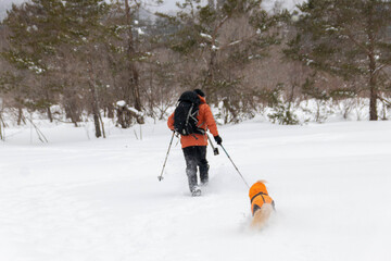犬とスノーシュートレッキング