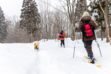 犬とスノーシュートレッキング