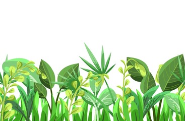 Tropical herbs and shrubs. Jungle meadow. Shoots of palm trees and nice summer weather. Isolated on white background. Funny cartoon style. Green countryside landscape. Juicy greens. Vector.