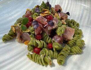 Italienische Nudeln Pasta Spinelli grün mit Thunfisch Preiselbeeren Kräuter