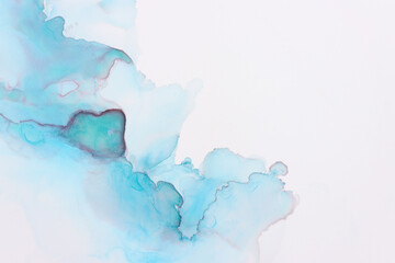 art photography of abstract fluid painting with alcohol ink, blue color