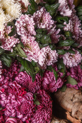multicolored bright chrysanthemums on the background of the bark