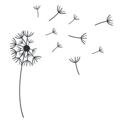 Abstract black dandelion silhouette. Dandelion flower with flying seeds. Flay simple modern illustration for tatoo, social media, textile.