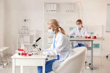Fototapeta premium Scientist studying sample in laboratory