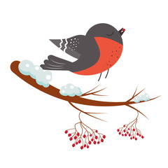 Bullfinch with a berry in his beak on a rowan branch. Vector illustration.