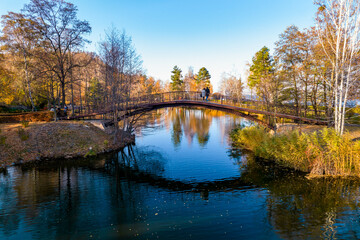 Aerial view of the lake in the autumn forest