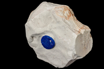 Macro mineral stone Azurite in siltstone against black background