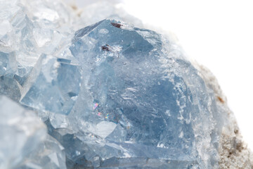Macro mineral stone Celestine in the breed a white background