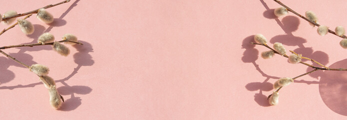 Willow branches with catkins, flowering willow branches with shadows on a pink paper panoramic background. A copy of the space, a blank for a postcard, a banner for Easter