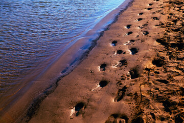 Fototapeta na wymiar Coastal footsteps on the wet sand . Footprints on the beach .