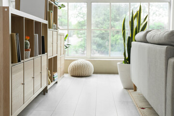 Bookshelf with comfy sofa in living room