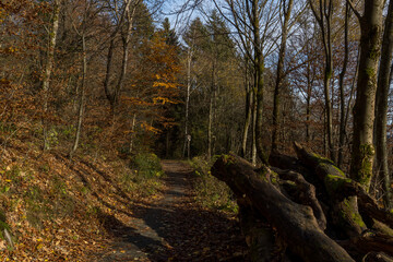 Hiking path in the area called Helletal near the city Winterberg