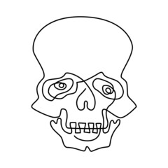 Human skull. Continuous line drawing. Humorous vector illustration.