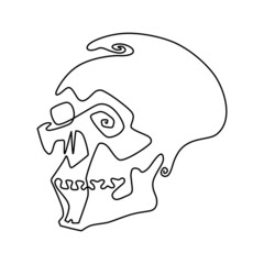 Human skull. Continuous line drawing. Humorous vector illustration.