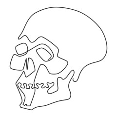 Human skull. Continuous line drawing. Humorous vector illustration.