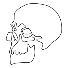 Human skull. Continuous line drawing. Humorous vector illustration.