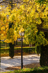 Autumn colors in El Retiro park in Madrid