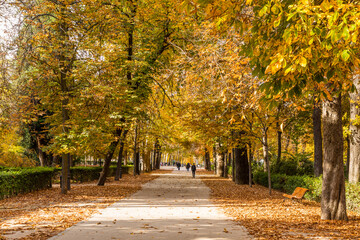 Autumn colors in El Retiro park in Madrid