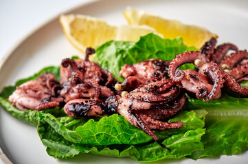 Baby octopus on a plate a Tapas Dish