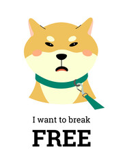A disgruntled Shiba inu is on a leash, wants to break free. Vector composition with text on a white background. Print for T-shirt, poster or notebook