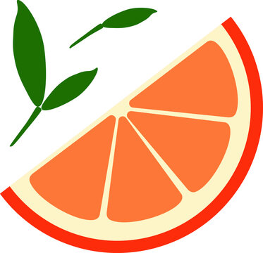 Vector logo of orange half slice and green leaves. Vector illustration of citrus slice