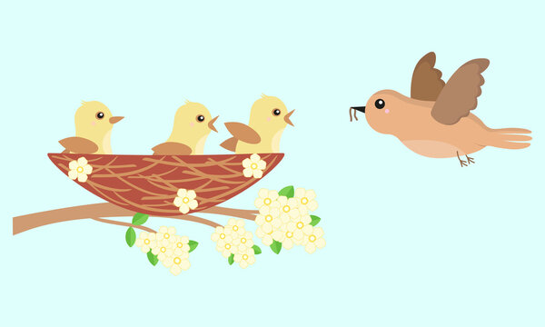 Three chicks in the nest and mother bird flying to feed them. Cartoon vector illustration for kids