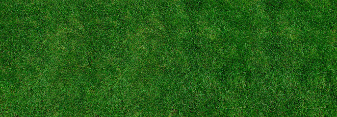 green grass banner for background