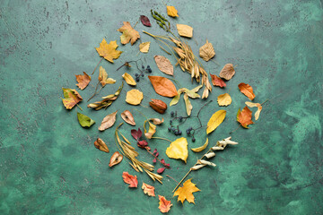 Autumn composition with dry leaves on color background