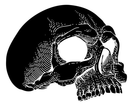 Skull Skeleton Grim Reaper Mascot Vintage Woodcut