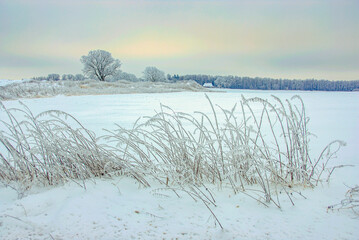 North German Winter Landscape with Hoarfrost - 0819 