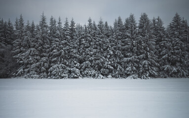 Schneelandschaft