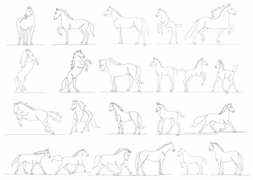 horses set one line drawing on white background, vector