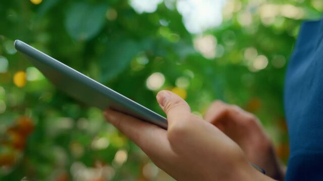 Closeup farmer collecting data of trees cultivation with technological tablet