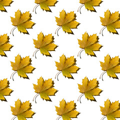 flat seamless pattern of maple leaves on a white background