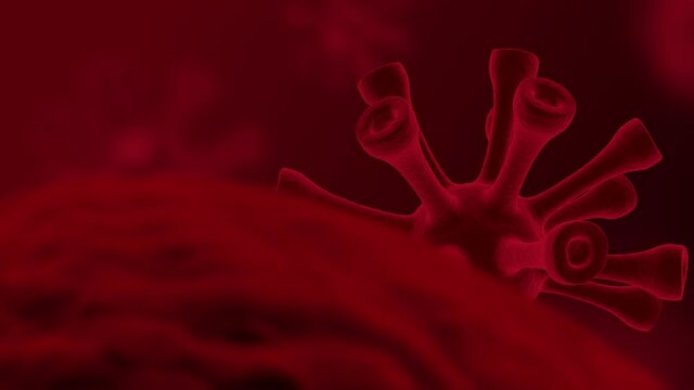 Coronavirus Animation SARS-CoV-2