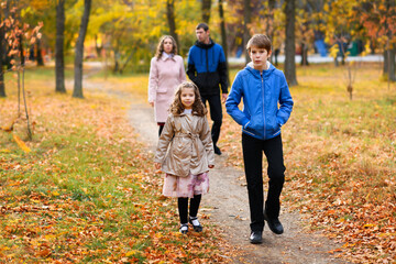 Naklejka na ściany i meble Family walks in the autumn park along the path. A beautiful nature and trees with yellow leaves. Bright sunlight.