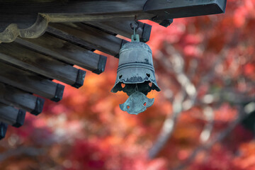 Naklejka premium 秋