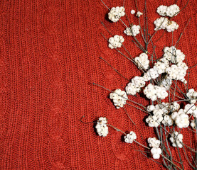 branches of a snowberry on a knitted blanket
