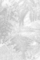 photo frame mockup, christmas white leaves background