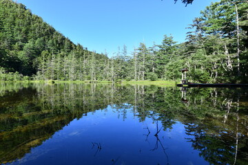 上高地風景 明神池