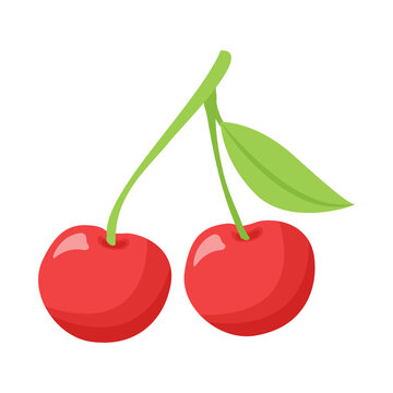 fruit cherry