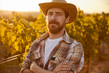 Serious farmer in vineyard in evening