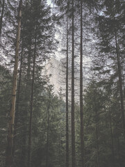 Góry w Tatrach Polskich. © Krystian