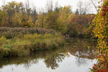 Fall scene by the Turtle River in Quebec