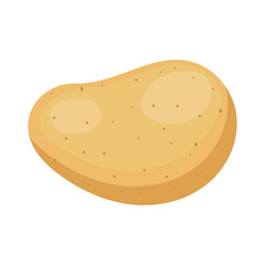 Food vegetable potato