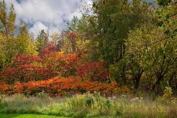 Fototapeta premium Fall scene near the Turtle River in Quebec