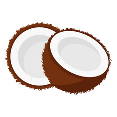 tropical fruit coconut