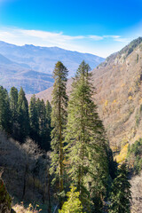 Obraz premium View from the trekking trail Rosa Khutor Ski Resort, Sochi, Russia